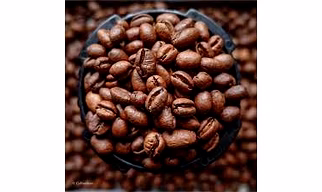 Coffee - Robusta & Arabica (Green & Roasted).