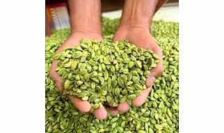 Cardamom (5mm, 6mm,7mm, 8mm and 9mm sizes)