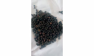 Black Pepper and White Pepper.