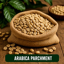 elbethel venturex arabica parchment
