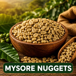 elbethel venturex mysore nuggets