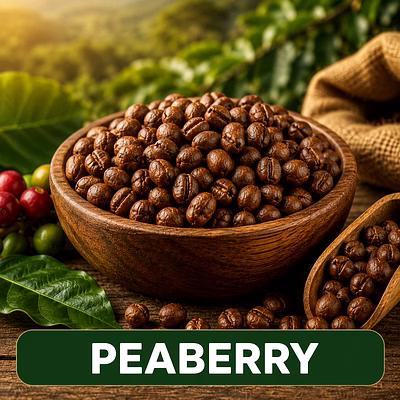 elbethel venturex peaberry