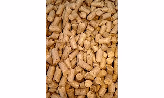 Antelope Feed