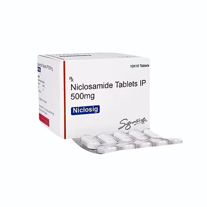 NICLOSIG 500MG TABLET -  Dr Precision-12751951