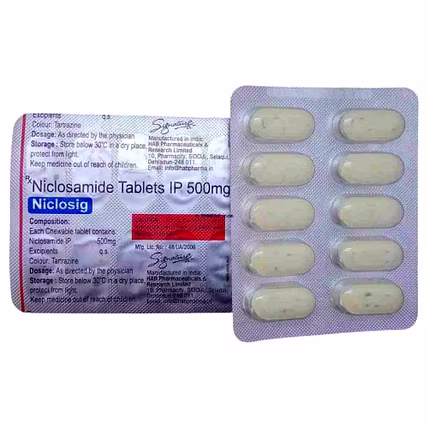 NICLOSIG 500MG TABLET -  Dr Precision-1
