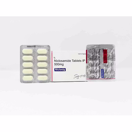 NICLOSIG 500MG TABLET -  Dr Precision-2