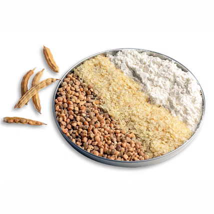 GUAR GUM POWDER-2