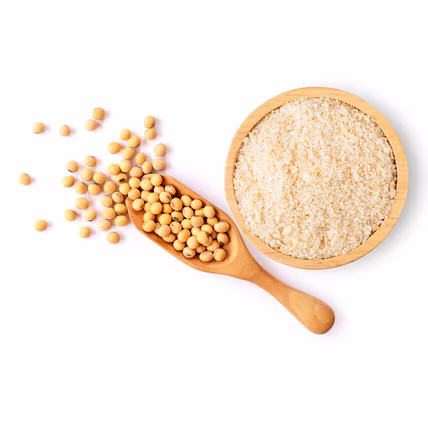 SOYBEAN POWDER-2