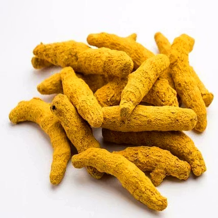 Turmeric Finger-1