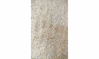 Basmati / Non-Basmati Rice