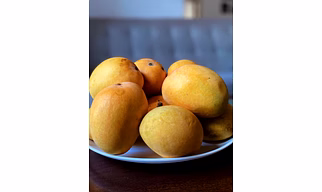 Alphonso (Hapus) Mango
