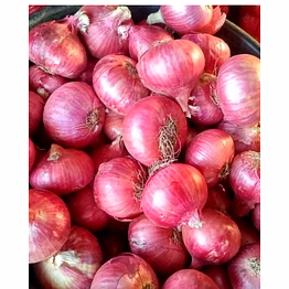 rainbow red onion