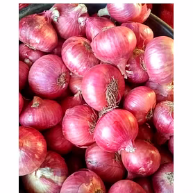 Red Onion