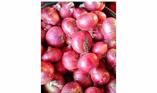 Red Onion