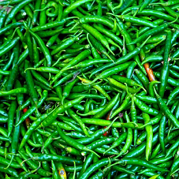 g4 gauri green chilli