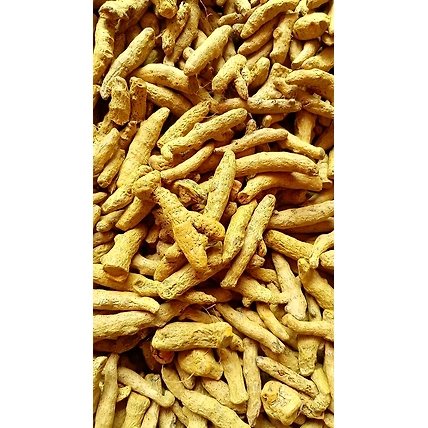 TURMERIC FINGERS-12723517