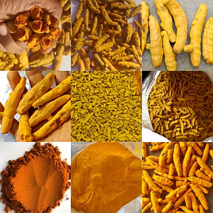 TURMERIC FINGER AND POWDER