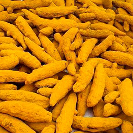 premium turmeric for bulk purchase | wholesale supplier & importer