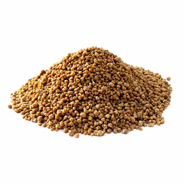 premium ragi (finger millet) for bulk purchase | wholesale supplier & importer