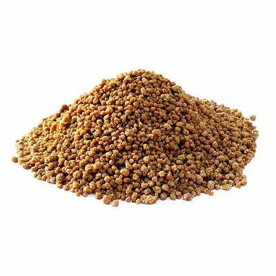 premium ragi (finger millet) for bulk purchase | wholesale supplier & importer