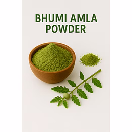 premium bhumi amla powder for bulk purchase | wholesale supplier & importer