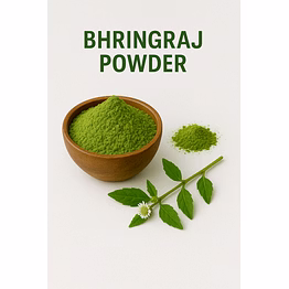 premium bhringraj powder for bulk purchase | wholesale supplier & importer