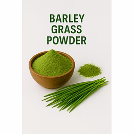 premium barley grass powder for bulk purchase | wholesale supplier & importer