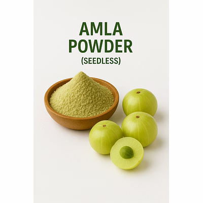 premium amla powder (seedless) for bulk purchase | wholesale supplier & importer