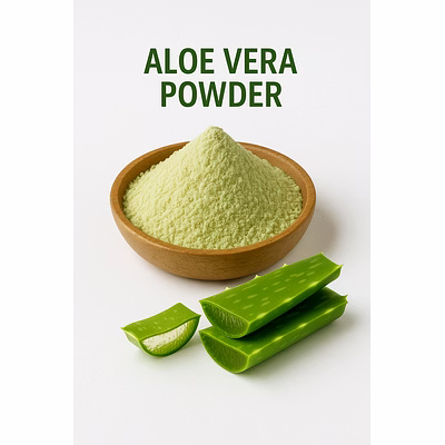premium aloe vera powder for bulk purchase | wholesale supplier & importer