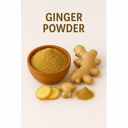 premium ginger powder for bulk purchase | wholesale supplier & importer