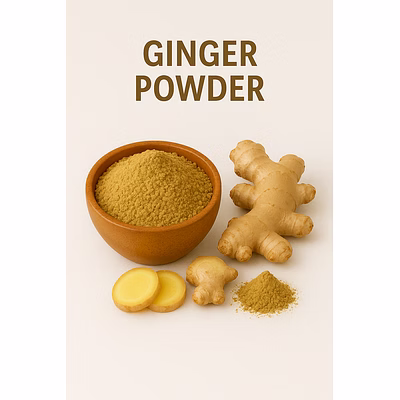 premium ginger powder for bulk purchase | wholesale supplier & importer