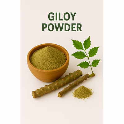 premium giloy (neem giloy) powder for bulk purchase | wholesale supplier & importer
