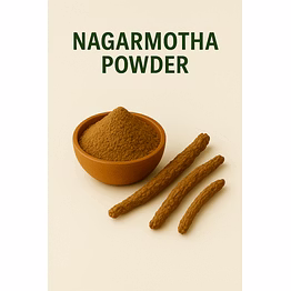 premium nagarmotha powder for bulk purchase | wholesale supplier & importer