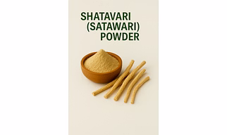 Premium Shatavari (Satawari) Powder for Bulk Purchase | Wholesale Supplier & Importer