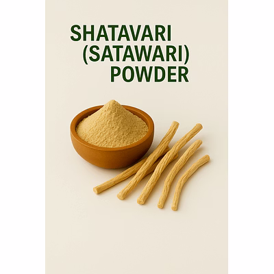premium shatavari (satawari) powder for bulk purchase | wholesale supplier & importer