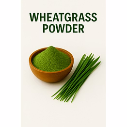 premium wheatgrass powder for bulk purchase | wholesale supplier & importer