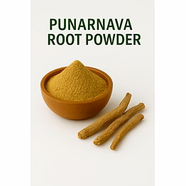 premium punnarnava root powder for bulk purchase | wholesale supplier & importer