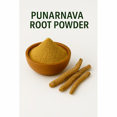 premium punnarnava root powder for bulk purchase | wholesale supplier & importer
