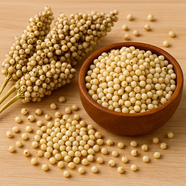 premium jowar (sorghum) for bulk purchase | wholesale supplier & importer
