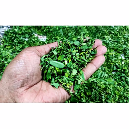 premium dried fenugreek leaves - kasturi methi
