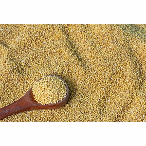 Premium Organic Foxtail Millet (Kangni) - Nutrient-Rich & Versatile Grain