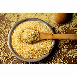 premium organic foxtail millet (kangni) - nutrient-rich & versatile grain