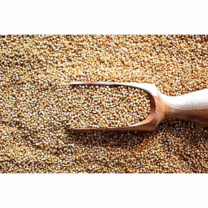 Organic Little Millet (Kutki) - Nutritious & Sustainable Grain Option
