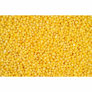 Organic Little Millet (Kutki) - Nutritious & Sustainable Grain Option