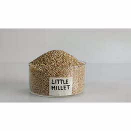 organic little millet (kutki) - nutritious & sustainable grain option