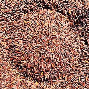 Chal Hai Black Rice - Authentic GI Tagged Manipur Black Rice Variety