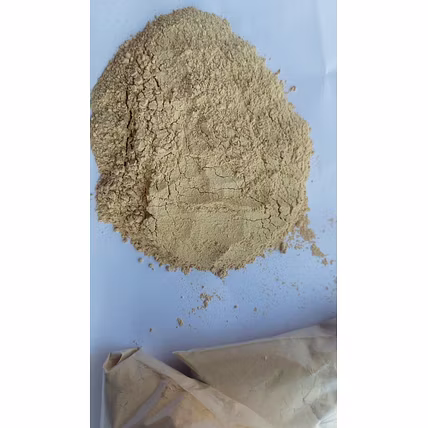 Garlic Powder-12731337