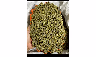 Arabica green coffee beans AAA Grade