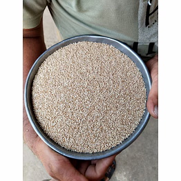 premium export quality sesame seeds – high purity & rich aroma