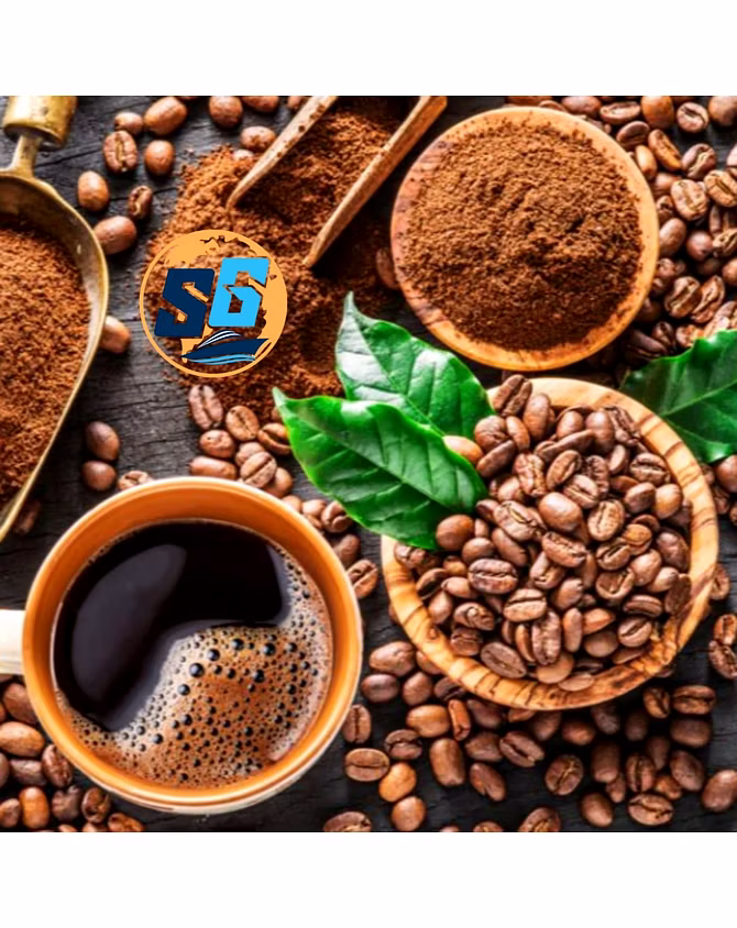 Malabar Robusta coffee-1